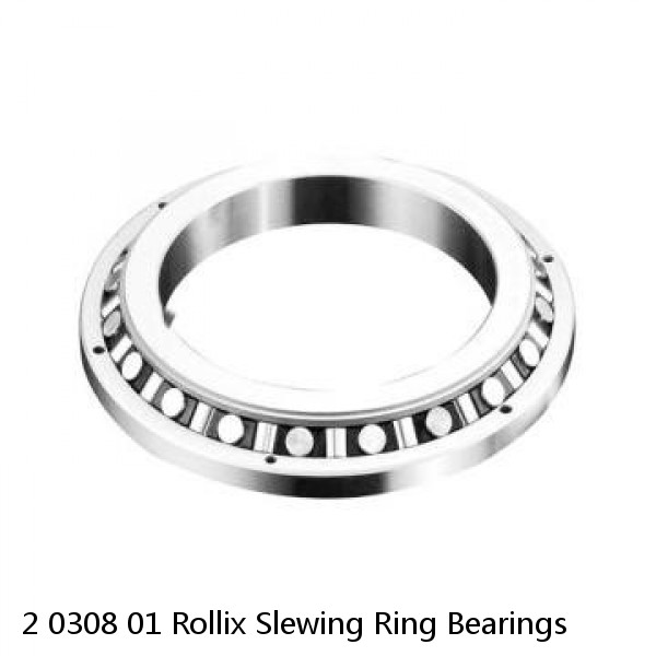 2 0308 01 Rollix Slewing Ring Bearings