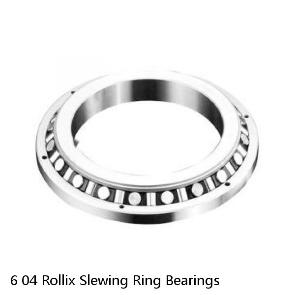 6 04 Rollix Slewing Ring Bearings