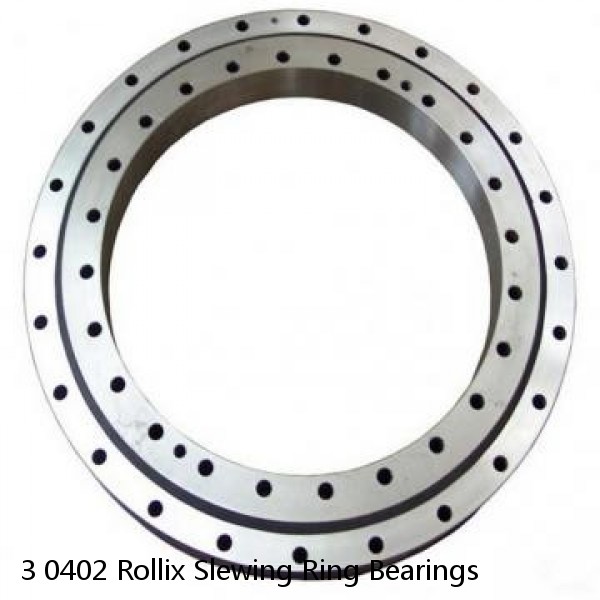 3 0402 Rollix Slewing Ring Bearings